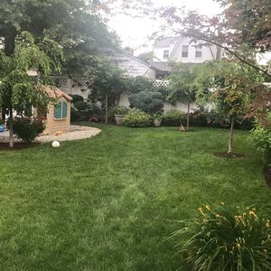 Meet your Posher, Alba